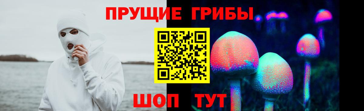 Галлюциногенные грибы GOLDEN TEACHER  Псилоцибиновые грибы Magic Shrooms  Вход с VPN  Екатеринбург 