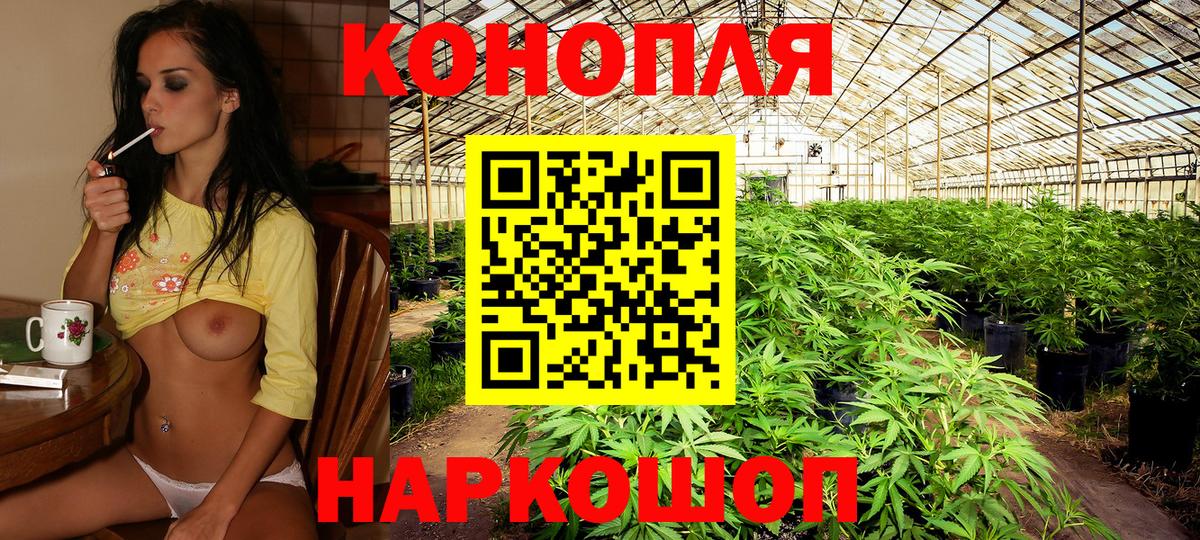 МАРИХУАНА гибрид  Бошки марихуана Bruce Banner  Екатеринбург  Бошки Шишки семена  Вход с VPN  МАРИХУАНА конопля 